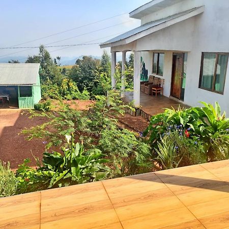 Ruhija Gorilla Guest House Kabale Exterior photo
