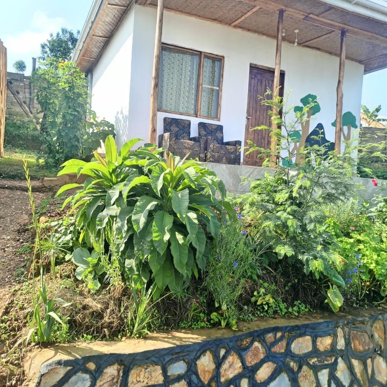 Ruhija Gorilla Guest House Kabale Exterior photo